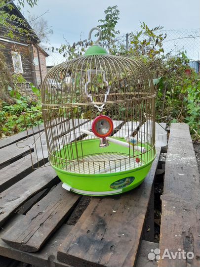 Клетка для попугая. Клетка для птиц