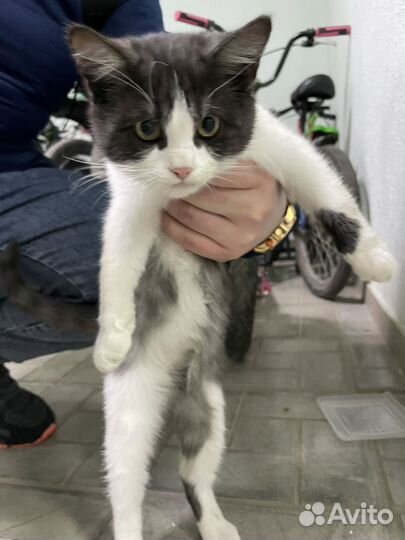 До вечера в польезде