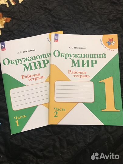 Рабочая тетрадь Окружающий мир Плешаков 1 класс 2