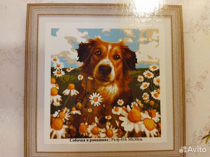 Картины по номерам новые