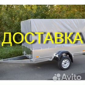 Прицепы для легковых автомобилей Новосибирск | Carrier