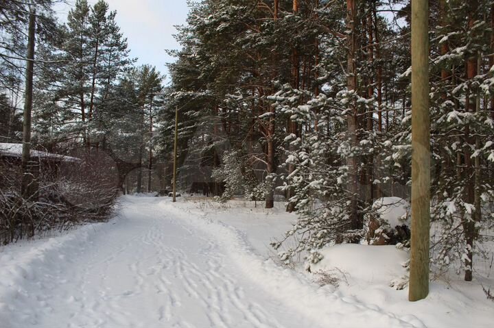 Коттедж 125 м² на участке 30 сот.