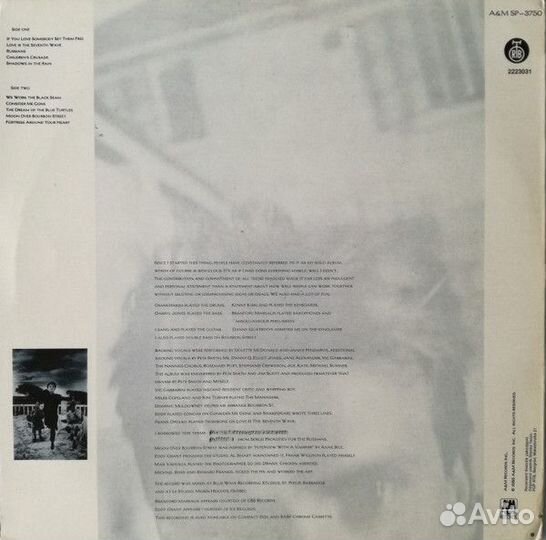 Виниловые Пластинки (Gloria Gaynor, Sting, Police)