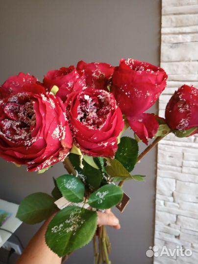 Искусственные Розы французского бренда SIA