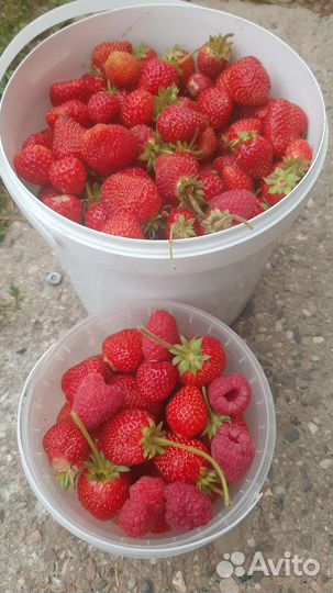 Варенье Клубничное и Сливовое