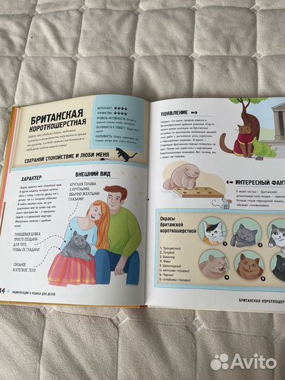 Книга для детей