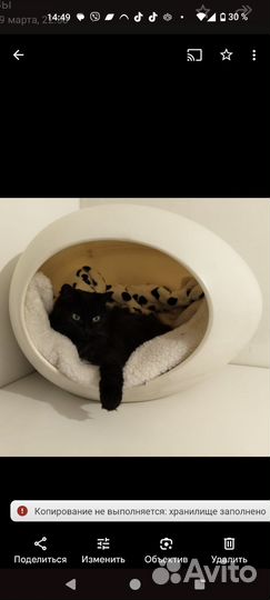 Домик для кошки