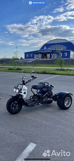 Honda zoomer trike