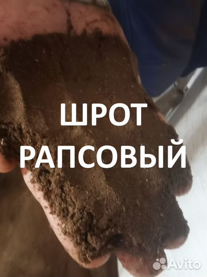 Рапсовый шрот