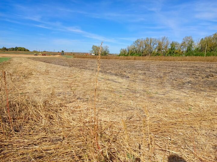 Участок 50 сот. (СНТ, ДНП)