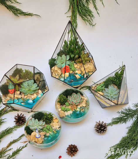 Флорариумы с суккулентами