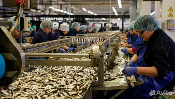 RT Вахта в Псков/Фасовка рыбы/Ежедневные выплаты