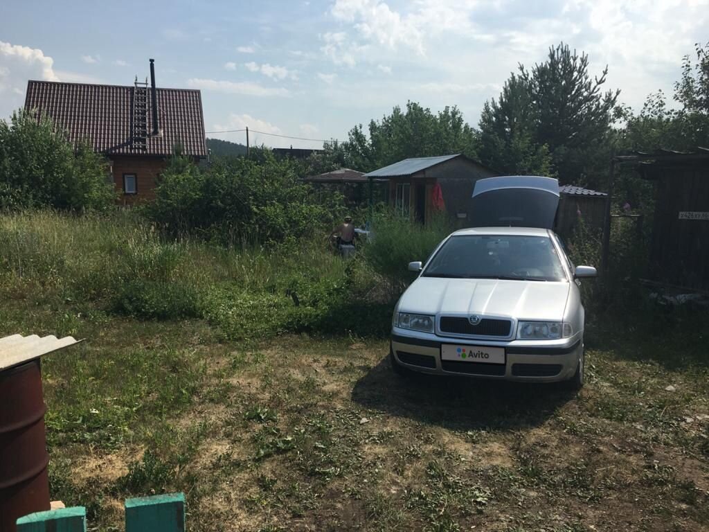 Skoda Octavia: фото владельца