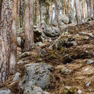 Экскурсии по Самаре и Самарской области
