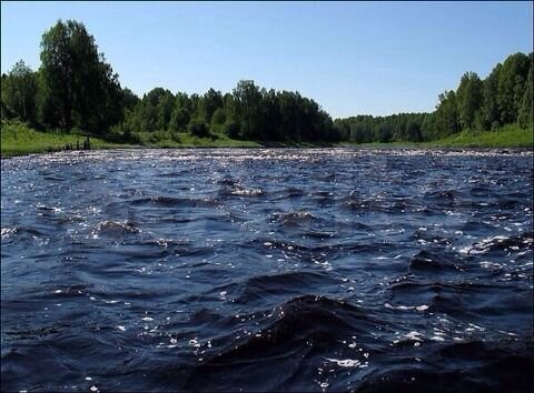 Участок 11 сот. (СНТ, ДНП)