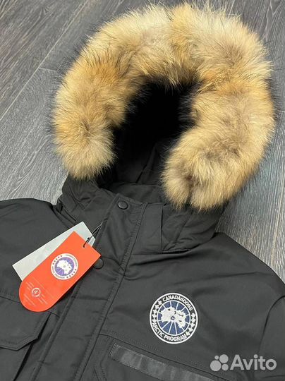 Парка Canada Goose черная (размеры 48-56)