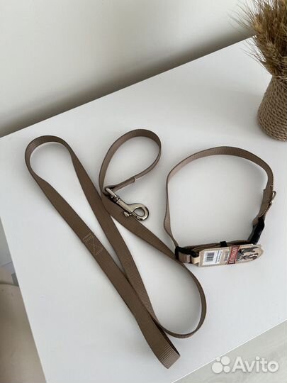 Поводок+ошейник