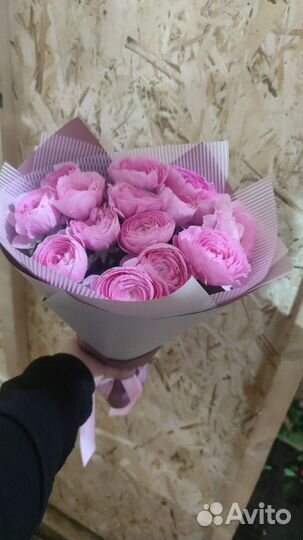 Ранункулюс цветы