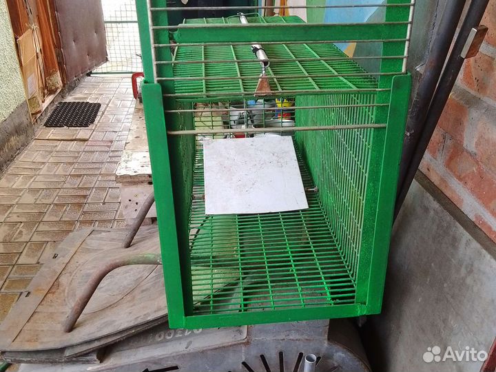 Аренда кошколовки