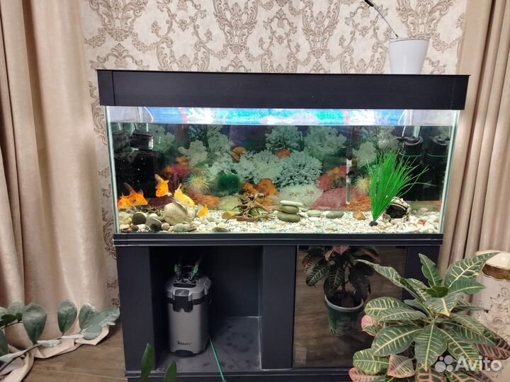 Для аквариума