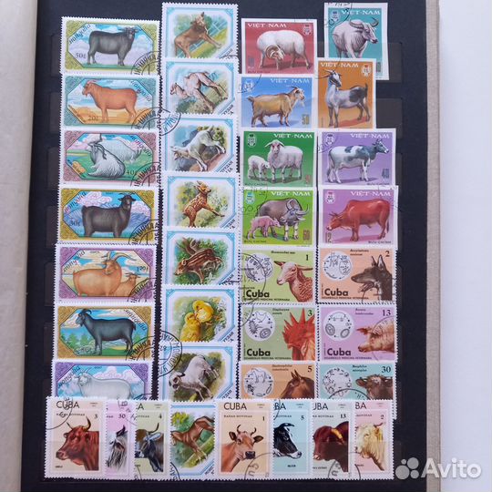 Почтовые марки животные, насекомые, бабочки