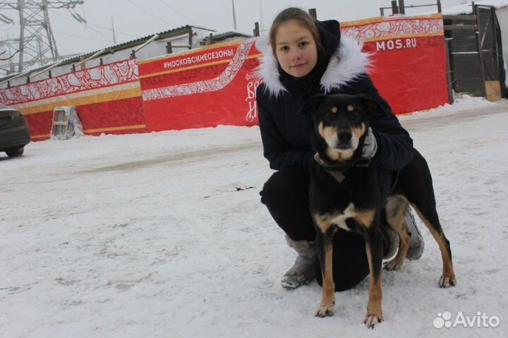 Клайд ищед дом