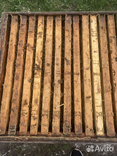 Улей с пчелами