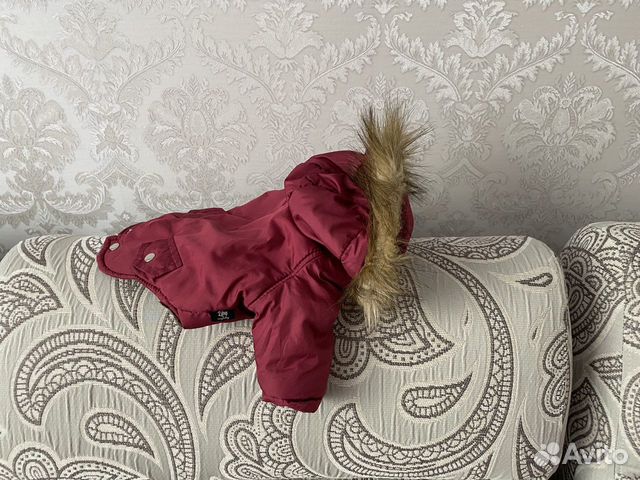 Куртка для собаки