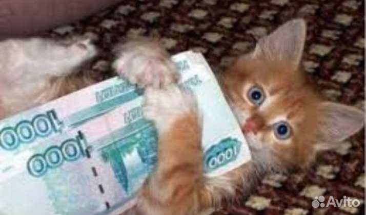 Работа для женщин администратор