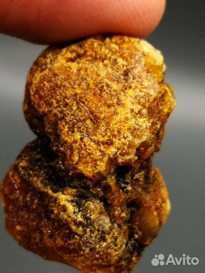 Янтарь с куршской косы, непрозрачный