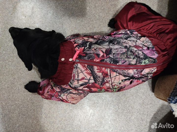 Комбинезон демисезонный для собак