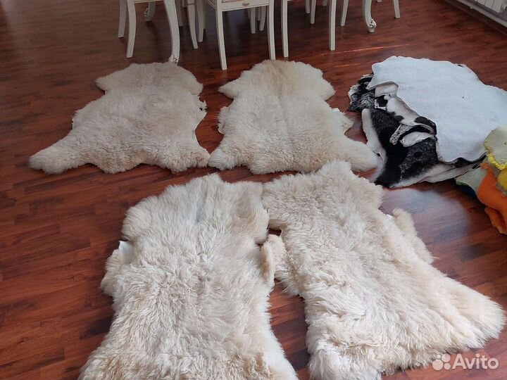 Овечьи шкуры(много)