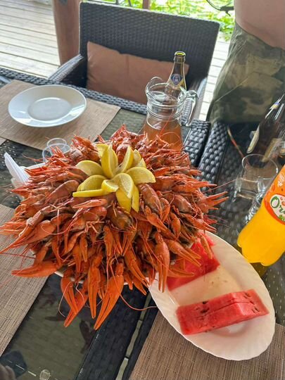 Участок 1000,01 га (ИЖС)