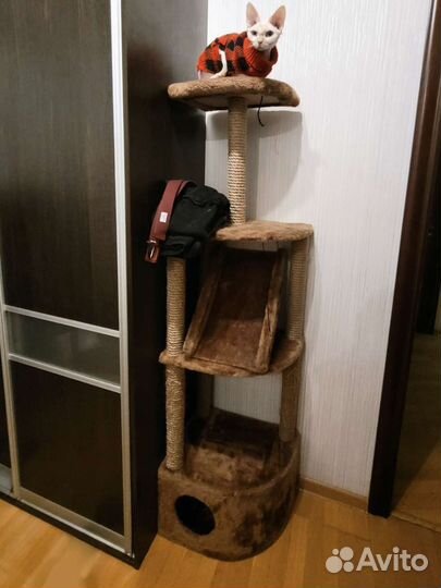 Домик - Когтеточка Дарэлл