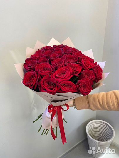 Розы красные