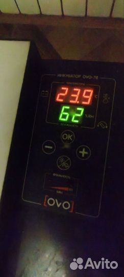 Инкубаторv OVO