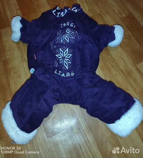 Одежда для собак мелких пород
