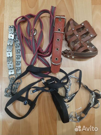 Амуниция для собак