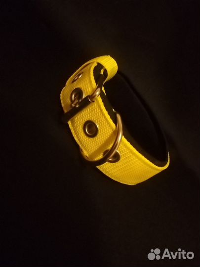 Ошейник для собак