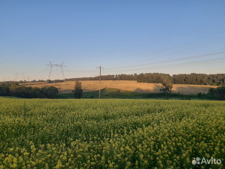 Действующее сельхозпредприятие