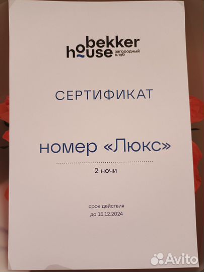 2 ночи в Беккер хаус
