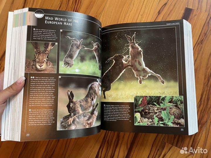 The encyclopedia of Mammals