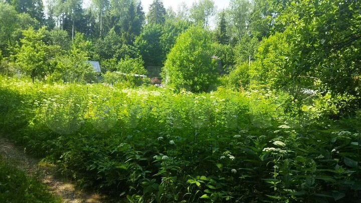 Участок 7,5 сот. (СНТ, ДНП)