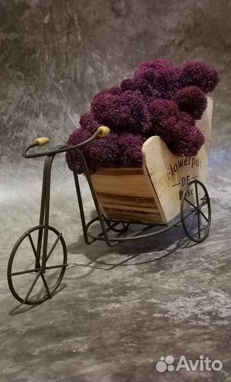 Кашпо со стабилизированным мхом, сирень