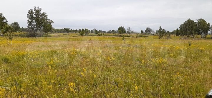 Участок 8,4 га (СНТ, ДНП)