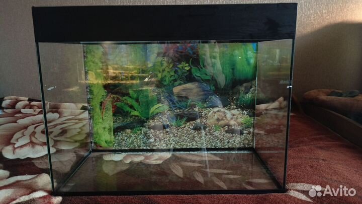 Аквариум
