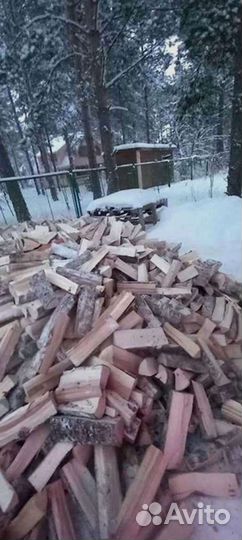 Дрова колотые березовые