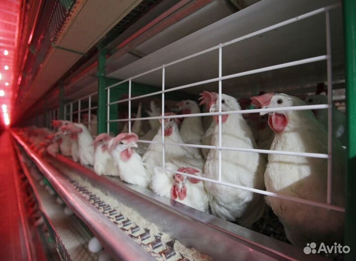 Работа вахтой