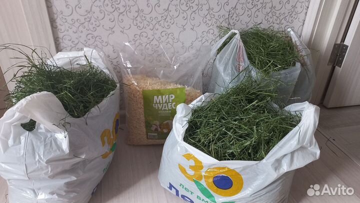 Сено для морских свинок и кроликов