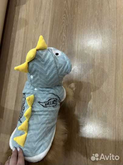 Одежда для собак